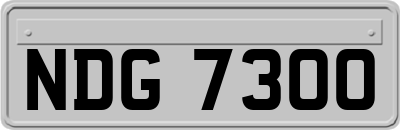 NDG7300