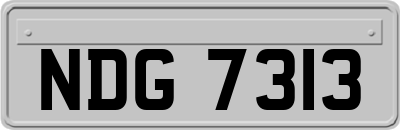 NDG7313