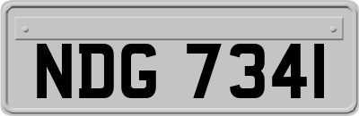 NDG7341