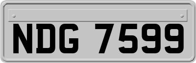 NDG7599