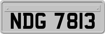 NDG7813