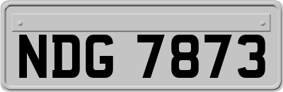 NDG7873