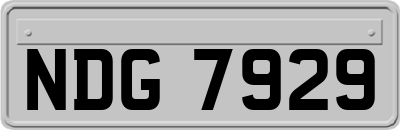 NDG7929