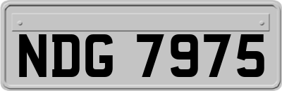 NDG7975