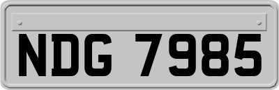 NDG7985