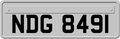 NDG8491
