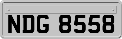 NDG8558