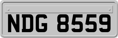 NDG8559