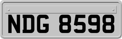 NDG8598