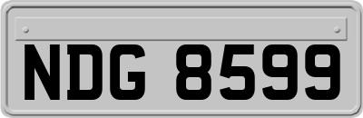 NDG8599