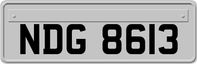 NDG8613