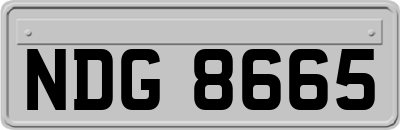 NDG8665