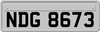 NDG8673