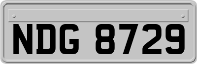 NDG8729