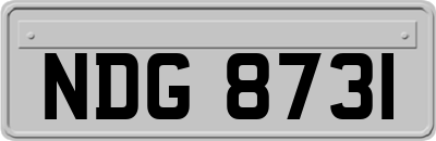 NDG8731