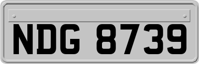 NDG8739