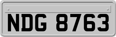 NDG8763