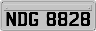 NDG8828