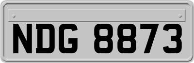 NDG8873