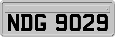NDG9029