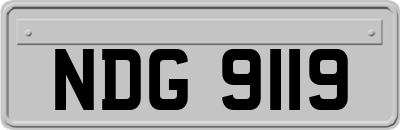 NDG9119