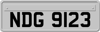 NDG9123