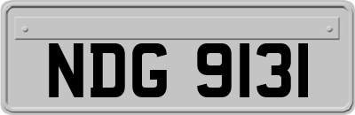 NDG9131