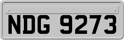 NDG9273