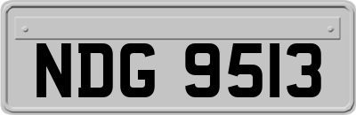 NDG9513