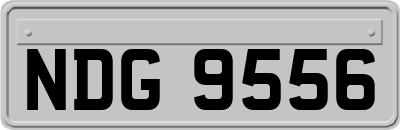 NDG9556