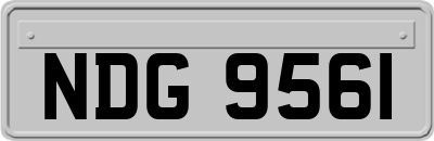 NDG9561