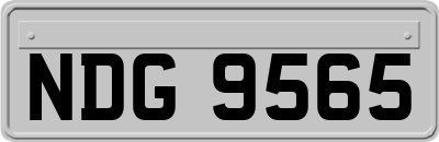 NDG9565
