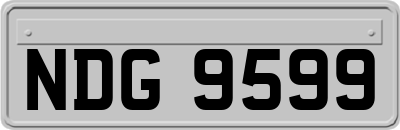 NDG9599