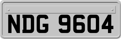 NDG9604