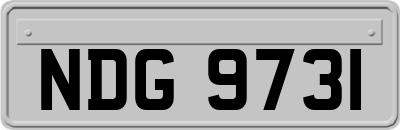 NDG9731