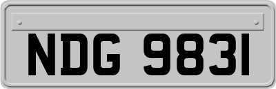 NDG9831