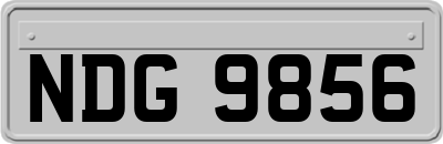 NDG9856