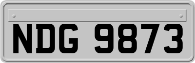 NDG9873