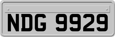 NDG9929