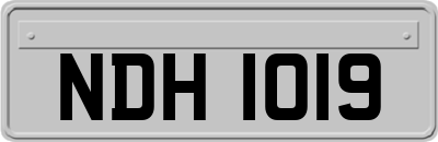 NDH1019