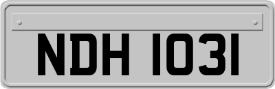 NDH1031