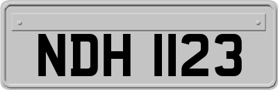 NDH1123