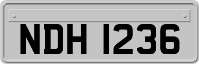 NDH1236
