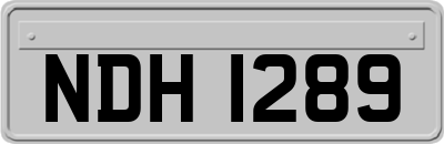 NDH1289