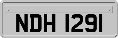NDH1291