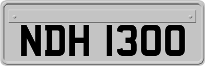 NDH1300