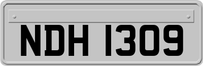 NDH1309