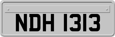 NDH1313