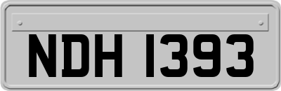 NDH1393