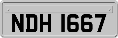 NDH1667